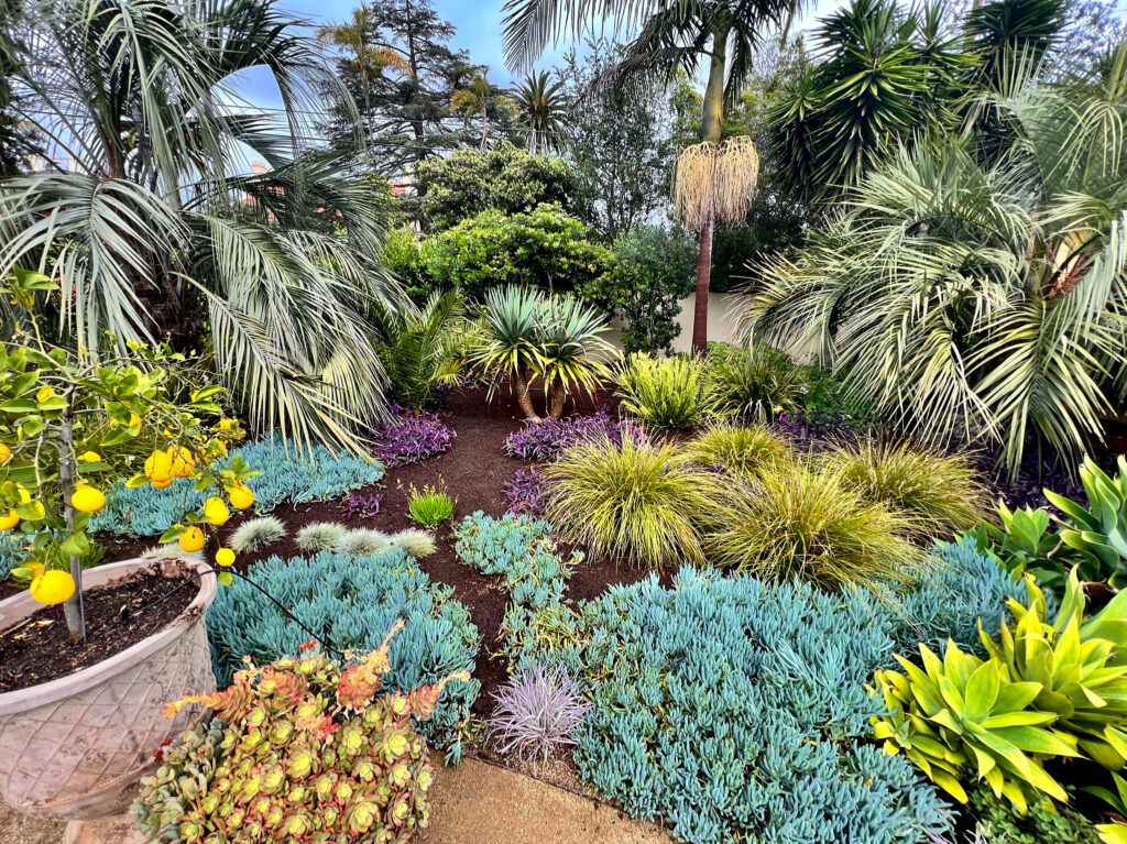 Landscaping Santa Barbara